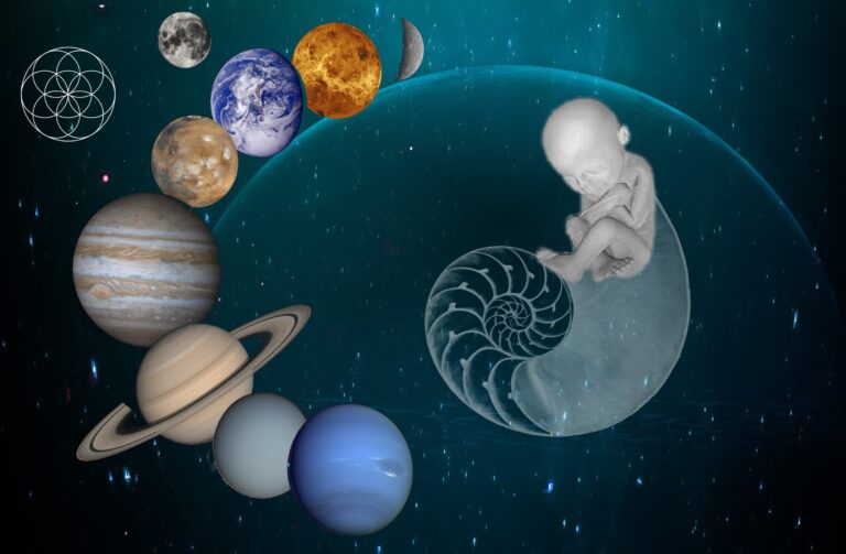 Soloverse in the Universe